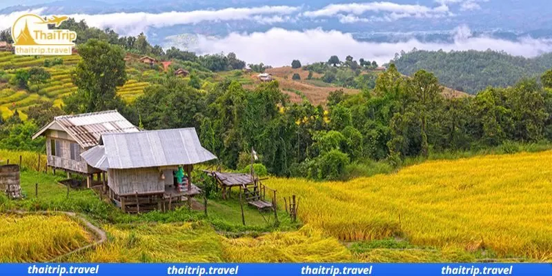 บ้านป่าบงเปียง จังหวัดเชียงใหม่