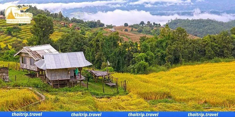 ปักหมุดปลายฝนต้นหนาว